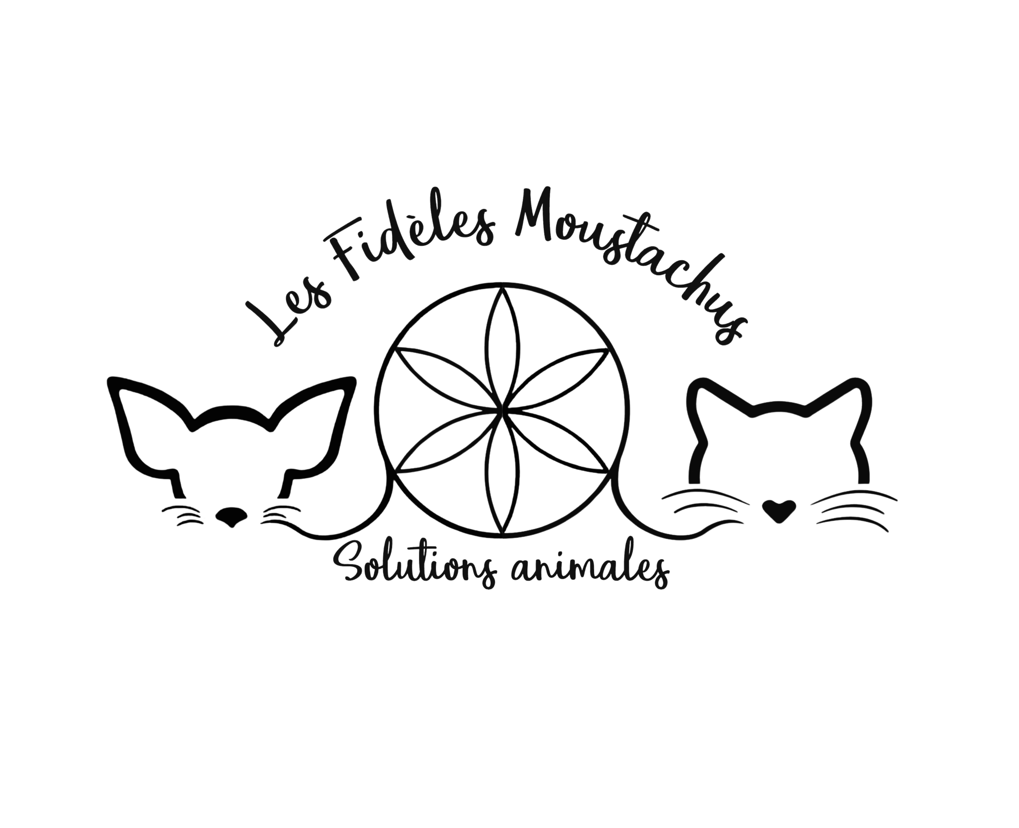 Les fidèles moustachus