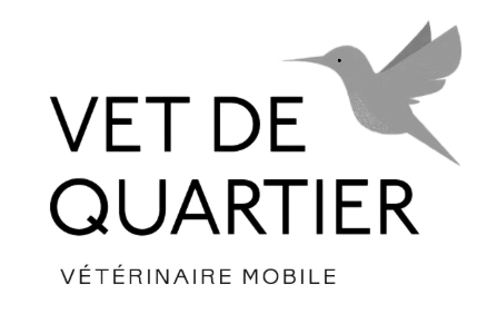 Vet de quartier - clinique vétérinaire mobile